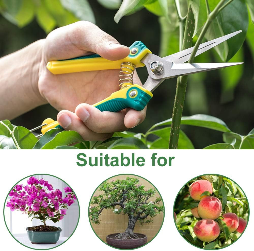 Pruning Scissors, Professional Garden Shears - Straight Stainless Steel Blades - Sharp Gardening Hand Pruner for Garden Harvesting Fruits, Vegetables, Trimming Flowers and Plants, 8.1IN